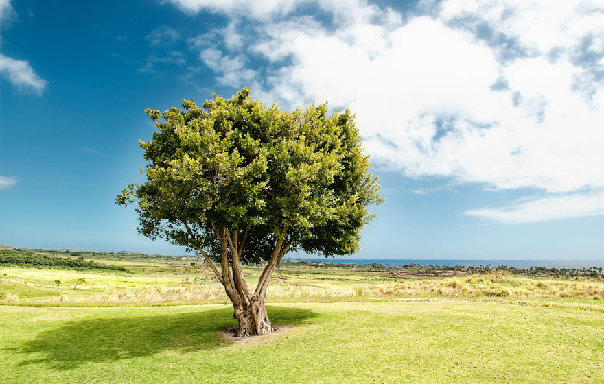 博天堂(918)官方网站 - 让你更精彩